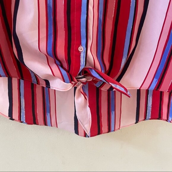 COPY - Cynthia Rowley Chiffon button up blouse sz Large - Picture 5 of 6